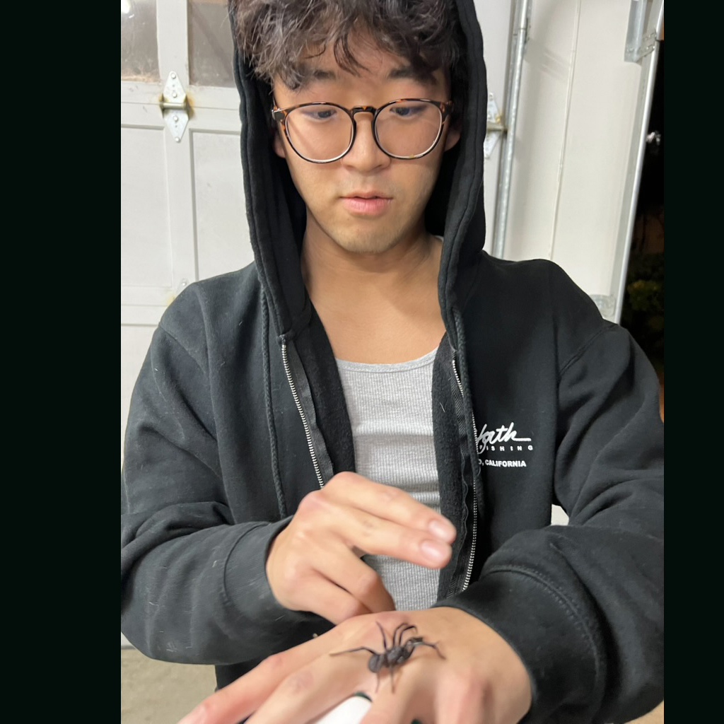 David Cui holding a tarantula